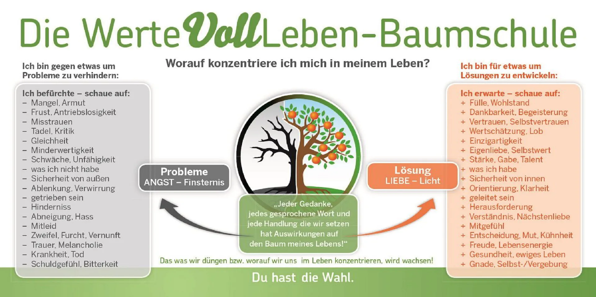 Baumschule als Grundlage für ein wertvolles Leben